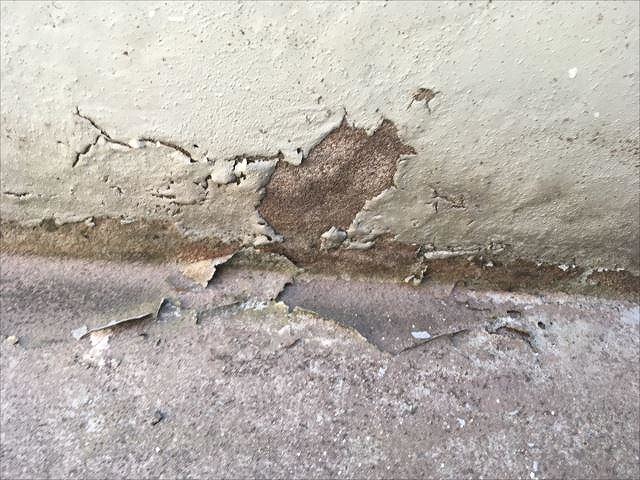 防水層が剥がれ下地が露出